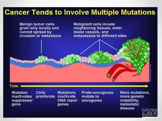 Μεταλλάξεις