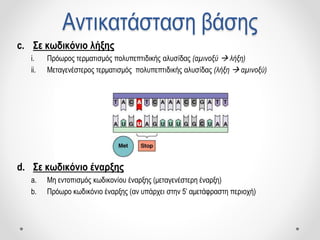 Αντικατάσταση βάσης
c. Σε κωδικόνιο λήξης
i. Πρόωρος τερματισμός πολυπεπτιδικής αλυσίδας (αμινοξύ  λήξη)
ii. Μεταγενέστερος τερματισμός πολυπεπτιδικής αλυσίδας (λήξη  αμινοξύ)
d. Σε κωδικόνιο έναρξης
a. Μη εντοπισμός κωδικονίου έναρξης (μεταγενέστερη έναρξη)
b. Πρόωρο κωδικόνιο έναρξης (αν υπάρχει στην 5’ αμετάφραστη περιοχή)
 