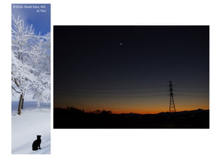 ©2016- Naoki	Kato,	IML
at	TGU
 