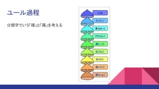ユール過程
分類学でいう「種」と「属」を考える
 