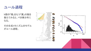 ユール過程
k個の「種」をもつ「属」の数を
数えてみると、べき乗分布に
なる。
その生成メカニズムのモデル
がユール過程。
 