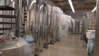 Крионика - вчера, сегодня, завтра