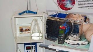 Крионика - вчера, сегодня, завтра