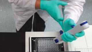 Крионика - вчера, сегодня, завтра