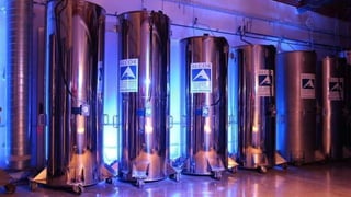 Крионика - вчера, сегодня, завтра