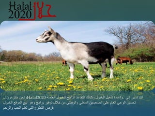 {
‫ونحن‬‫ملتزمون‬‫ل‬ Halal2020 ‫وإعادة‬‫تأهيل‬‫الخيول‬‫وكذلك‬‫التقاعد‬‫الناجح‬‫للخيول‬‫العاملة‬ . ‫اننا‬‫نسير‬‫إلى‬
‫تحسين‬‫الوعي‬‫العام‬‫على‬‫الصعيدين‬‫المحلي‬‫والوطني‬‫من‬‫خالل‬‫توفير‬‫برامج‬‫وهو‬‫بيع‬‫الموقع‬‫الخيول‬
‫فرص‬‫التطوع‬‫التي‬‫تعلم‬‫الحب‬‫والرحم‬ .
 
