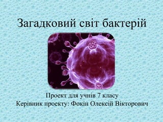 Загадковий світ бактерій
Проект для учнів 7 класу
Керівник проекту: Фокін Олексій Вікторович
 