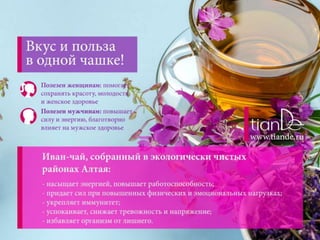 иван чай без цен | PPT