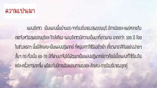 เพลงอีแซว เป็นเพลงพื้นบ้านประจาท้องถิ่นของสุพรรณบุรี มีกาเนิดและแพร่หลายใน
เขตจังหวัดสุพรรณบุรีและใกล้เคียง เพลงอีแซวมีความเป็นมาที่ยาวนาน มากกว่า 100 ปี โดย
ในช่วงแรกๆนั้นมีลักษณะเป็นเพลงปฏิพากย์ที่หนุ่มสาวใช้ร้องยั่วเย้าเกี้ยวพาราสีกันอย่างง่ายๆ
สั้นๆ กระทั่งเมื่อ 60-70 ปีที่ผ่านมาจึงได้พัฒนาเป็นเพลงปฏิพากย์ยาวคือมีเนื้อเพลงที่ใช้ร้องใน
แต่ละครั้งยาวมากขึ้นพร้อมกับมีการดัดแปลงทานองและลักษณะการร้องรับของลูกคู่
ควำมเป็นมำ
 