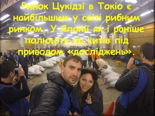 Ринок Цукідзі в Токіо є
найбільшим у світі рибним
ринком. У Японії як і раніше
полюють на китів під
приводом «досліджень».
 