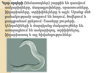 Կլոր որդերի (նեմատոդներ) շարքին են դասվում
ասկարիդները, մազագլուխները, սրատուտները,
ֆիլարիաները, տրիխինելները և այլն: Սրանք մեծ
քանակությամբ ապրում են հողում, ծովերում և
քաղցրահամ ջրերում: Շատերը բույսերի,
կենդանիների և մարդկանց մակաբույծներ են.
առաջացնում են ասկարիդոզ, տրիխինելոզ,
ֆիլարիատոզ և այլ հիվանդություններ:
 