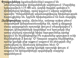 Փշագլուխները (գլանաճիճուներ) ապրում են
անողնաշարավոր կենդանիների աղիներում: Մարմինը
երկարավուն է (1–65 սմ), առջևի ծայրին գտնվում է
կեռիկներով կնճիթը, որով կպչում է տիրոջ աղիների
պատին: Կենդանիների ականտոցեֆալոզ հիվանդության
հարուցիչներ են, երբեմն հիվանդանում են նաև մարդիկ:
Հելմինթոզները որդեր, ճիճուներ, ամբողջ աշխա րհում
տարածված կենդանատեսակներ են, որոն ց միզգալի
մասը զարգացման որոշակի փուլում տեղակայվում է
մարդու,կենդանիների օրգանիզմ ում ևբույսերի մեջ`
առաջ բերելով որոշակի հիվա նդություններ,որոնք
կոչվում են հելմինթոզներ:Բն ությանմեջ գոյություն ունի
հելմինթների 2 խումբ` O 1)ազատ ապրող հելմինթներ,
որոնք կյանքի ընթ ացքում ապրում են բնության մեջ`
չառնչվելով ոչ միտեսակ կենդանու հետ: O
2)մակաբույծներ, որոնք կյանքի որոշակի փուլու մ
ապրում են կենդանիների օրգանիզմի տարբեր
օրգաններում:
 