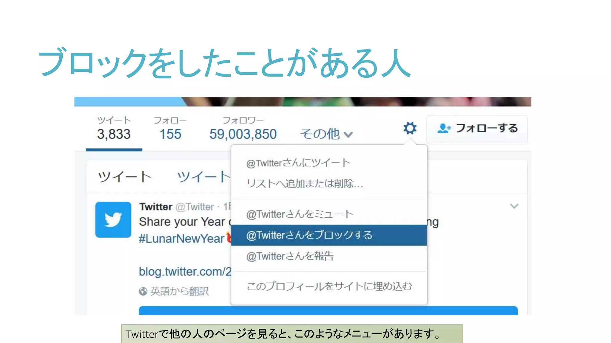 Twitterの被ブロック数可視化ツールを作ってみた | PPTX