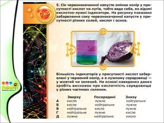 7-8 класи 2015 рік
 