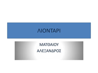 ΛΙΟΝΤΑΡΙ
ΜΑΤΘΑΙΟΥ
ΑΛΕΞΑΝΔΡΟΣ
 