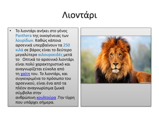 Λιοντάρι
• Το λιοντάρι ανήκει στο γένος
Panthera της οικογένειας των
λουρίδων. Καθώς κάποια
αρσενικά υπερβαίνουν τα 250
κι...