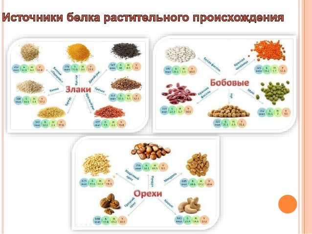 Таблицы Кулинария 20 шт. - Компания ПАРТНЕР Купить выгодно. Короткие сроки отгру