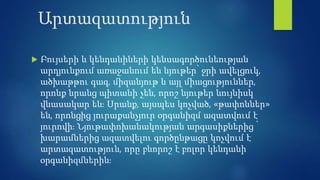 Արտազատություն
 Բույսերի և կենդանիների կենսագործունեության
արդյունքում առաջանում են նյութեր՝ ջրի ավելցուկ,
ածխաթթու գազ, ...