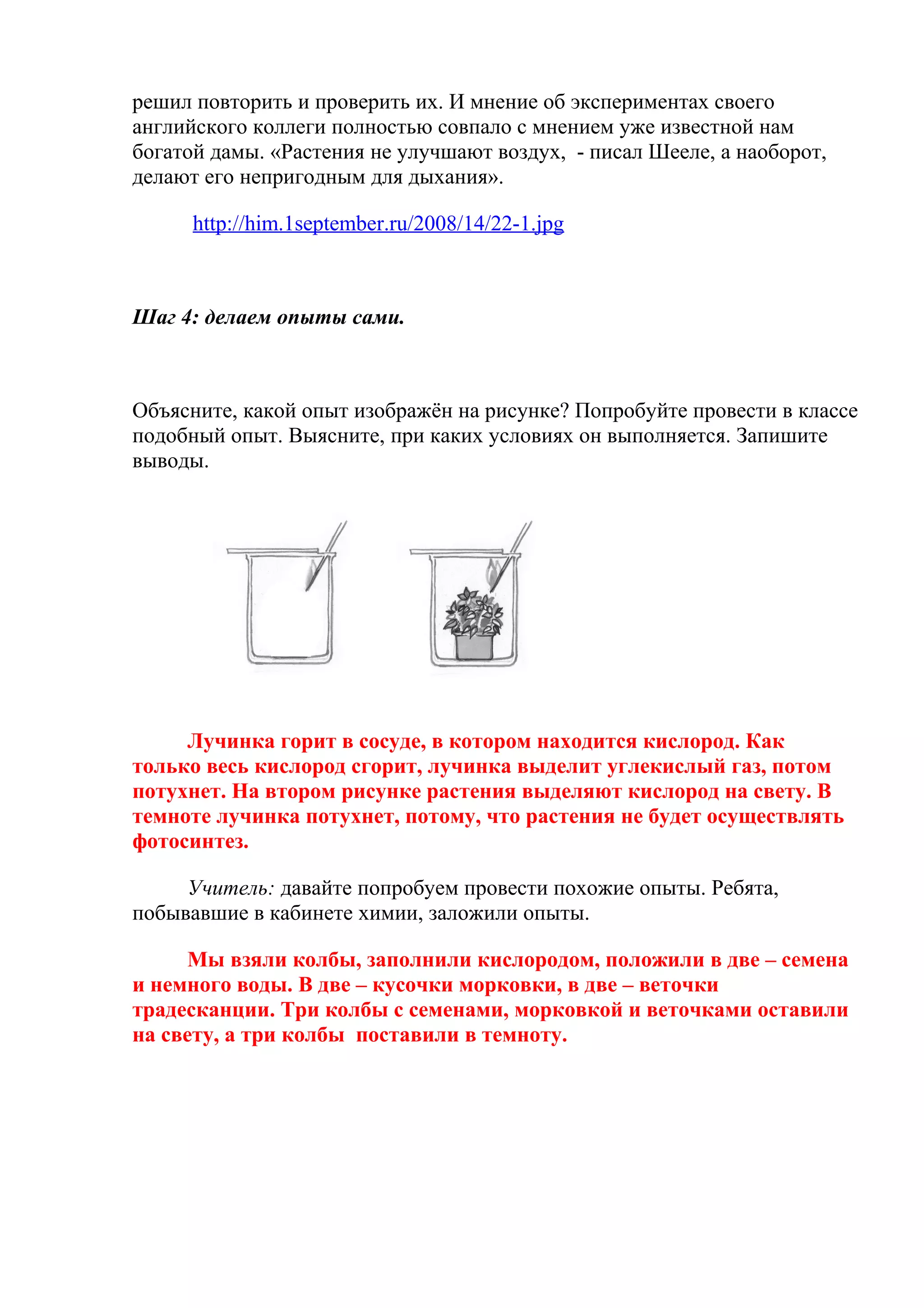 решил повторить и проверить их. И мнение об экспериментах своего
английского коллеги полностью совпало с мнением уже известной нам
богатой дамы. «Растения не улучшают воздух, - писал Шееле, а наоборот,
делают его непригодным для дыхания».
http://him.1september.ru/2008/14/22-1.jpg
Шаг 4: делаем опыты сами.
Объясните, какой опыт изображён на рисунке? Попробуйте провести в классе
подобный опыт. Выясните, при каких условиях он выполняется. Запишите
выводы.
Лучинка горит в сосуде, в котором находится кислород. Как
только весь кислород сгорит, лучинка выделит углекислый газ, потом
потухнет. На втором рисунке растения выделяют кислород на свету. В
темноте лучинка потухнет, потому, что растения не будет осуществлять
фотосинтез.
Учитель: давайте попробуем провести похожие опыты. Ребята,
побывавшие в кабинете химии, заложили опыты.
Мы взяли колбы, заполнили кислородом, положили в две – семена
и немного воды. В две – кусочки морковки, в две – веточки
традесканции. Три колбы с семенами, морковкой и веточками оставили
на свету, а три колбы поставили в темноту.
 