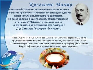 Киселото Мляко
Славата на българското кисело мляко шества по света.
В неговите хранителни и лечебни качества днес едва ли
...
