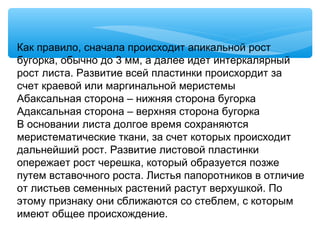 Как правило, сначала происходит апикальной рост
бугорка, обычно до 3 мм, а далее идет интеркалярный
рост листа. Развитие всей пластинки происхордит за
счет краевой или маргинальной меристемы
Абаксальная сторона – нижняя сторона бугорка
Адаксальная сторона – верхняя сторона бугорка
В основании листа долгое время сохраняются
меристематические ткани, за счет которых происходит
дальнейший рост. Развитие листовой пластинки
опережает рост черешка, который образуется позже
путем вставочного роста. Листья папоротников в отличие
от листьев семенных растений растут верхушкой. По
этому признаку они сближаются со стеблем, с которым
имеют общее происхождение.
 