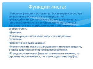 ∗Основная функция – фотосинтез. Вся эволюция листа, как
вегетативного органа, шла по пути развития
приспособления для наилучшего использования света.
Приспособление листа к осуществлению фотосинтеза
выражаются в его морфологических и анатомических
особенностях.
∗Дыхание.
∗Транспирация – испарение воды в газообразном
состоянии.
∗Вегетативное размножение.
∗Может служить органам запасания питательных веществ,
а также защитным и опорным приспособления.
∗Если дополнительные функции становятся главными, то
строение листа меняется, т.е. происходит метаморфоз.
Функции листа:
 