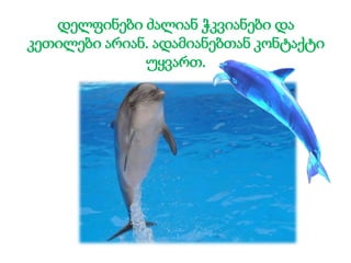 დელფინები ძალიან ჭკვიანები და
კეთილები არიან. ადამიანებთან კონტაქტი
უყვართ.
 