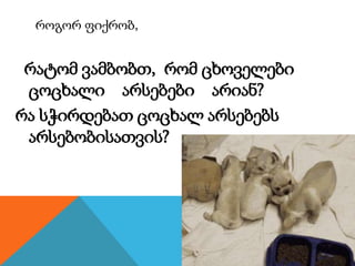 როგორ ფიქრობ,
რატომ ვამბობთ, რომ ცხოველები
ცოცხალი არსებები არიან?
რა სჭირდებათ ცოცხალ არსებებს
არსებობისათვის?
 
