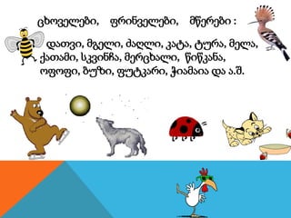 ცხოველები, ფრინველები, მწერები :
დათვი, მგელი, ძაღლი, კატა, ტურა, მელა,
ქათამი, სკვინჩა, მერცხალი, წიწკანა,
ოფოფი, ბუზი, ფუტკარი, ჭიამაია და ა.შ.
 