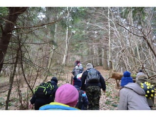 вшанування