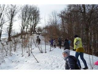 вшанування