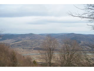 вшанування