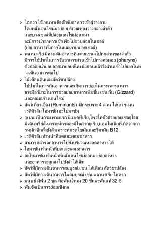 ? ????? ?????????????????????????????????????
????????????????????????????????????????????
???????????????????????????????
????????????????????????????????????????
(????????????????????????????????)
? ????????? ?????????????????????????????????????????
?????????????????????????????????????????? (pharynx)
??????????????????????????????????????????????????????????????
????????????????
? ??????????????????????????
???????????????????????????????????????????????
?????????????????????????????????????? ???? ???? (Gizzard)
???????????????????
? ????????????????? (Ruminants) ?????????4 ???? ?????? ?????
?????????? ??????? ?????????
? ????? ??? ??????????? ???????????,????????????????????????
????????????????????????????????????????,?????????????????????
????? ?????????????????????????????????????? B12
? ?????????? ??????????????????????
? ???????????????????????????????????????
? ??????? ??????????????????????
? ????????? ???????????????????????????????????
??????????????????????????????
? ????????????????????????????? ???? ???????? ????????????
? ???????????????????????????????? ???? ????????? ?????
? ?????? ????? 2 ??? ??????????? 20 ????????????32 ???
? ????????? ??????????????
 