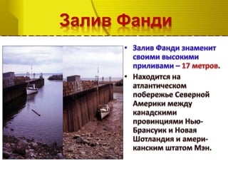 Залив Фанди
 