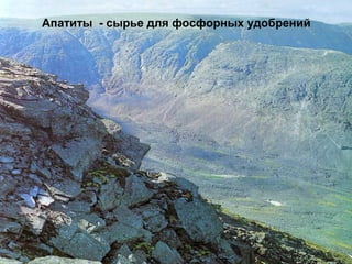 Апатиты - сырье для фосфорных удобрений
 