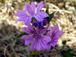 Εκθεση φωτογραφίας.pdf