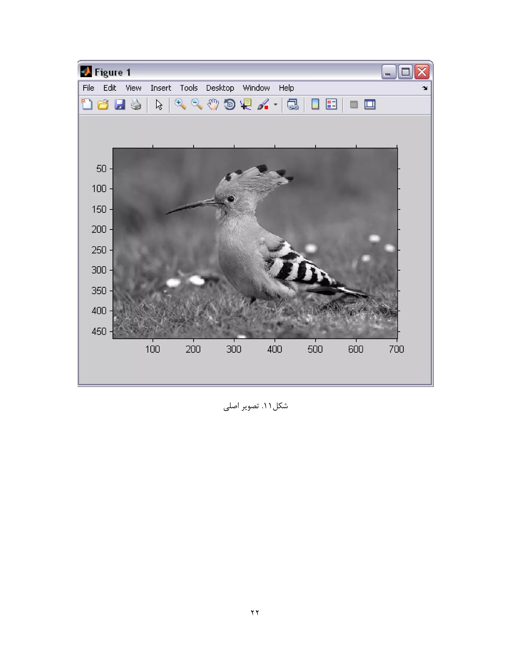 image processing using MATLAB | PDF