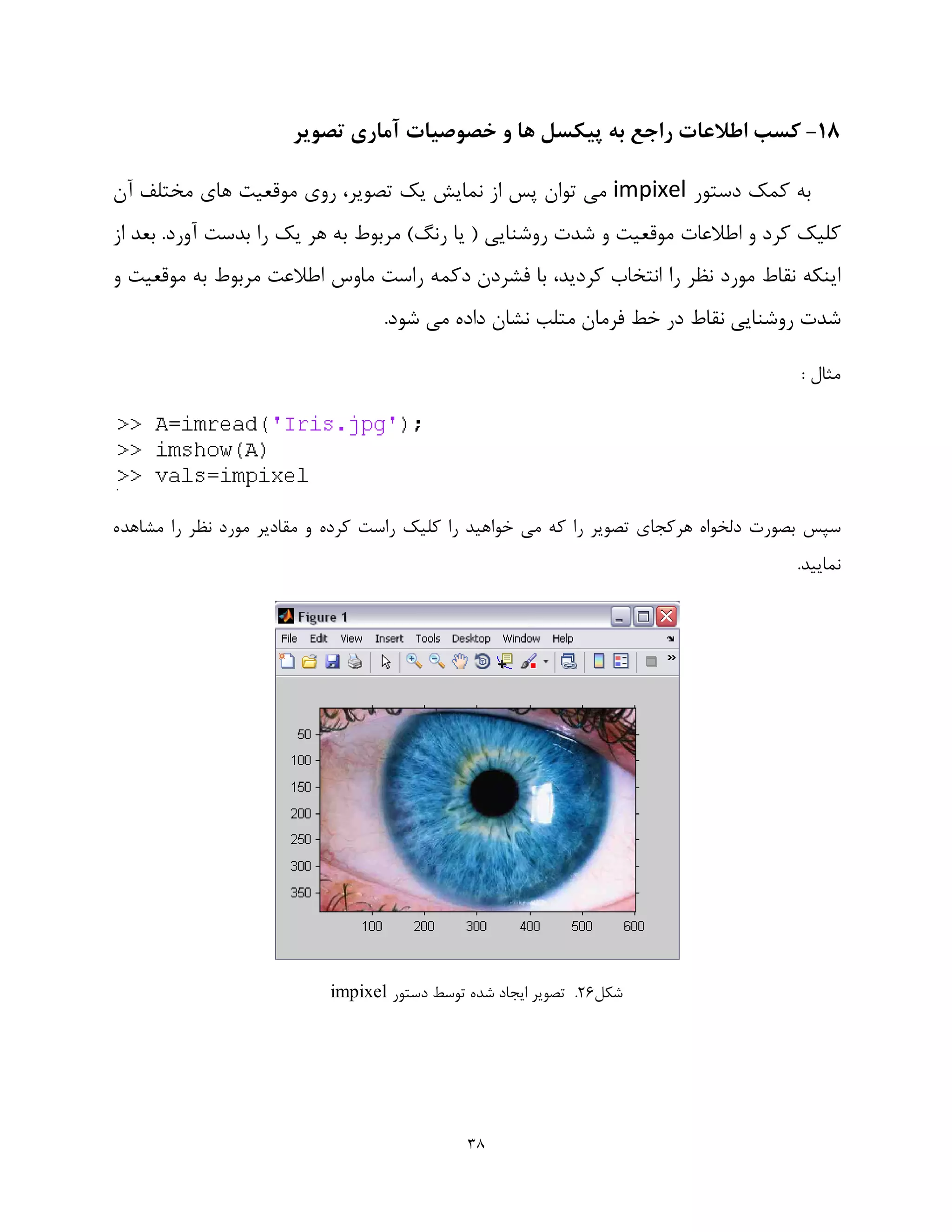 image processing using MATLAB | PDF