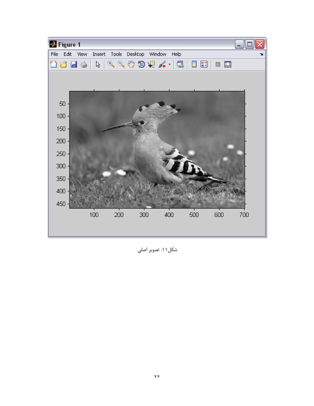 image processing using MATLAB | PDF