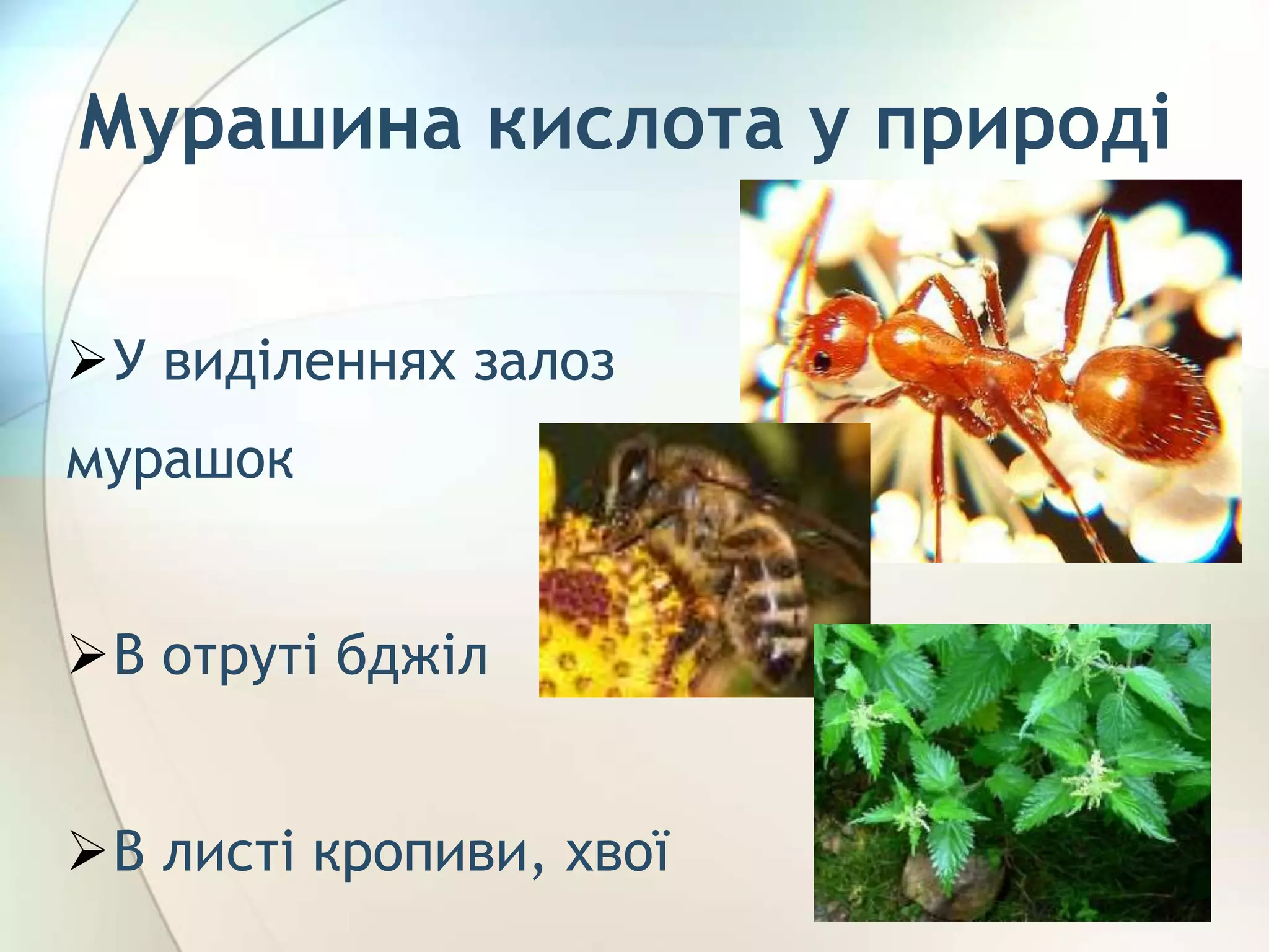 Мурашина кислота у природі
У виділеннях залоз
мурашок
В отруті бджіл
В листі кропиви, хвої
 