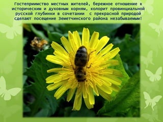 Гостеприимство местных жителей, бережное отношение к
историческим и духовным корням, колорит провинциальной
русской глубинки в сочетании с прекрасной природой
сделают посещение Земетчинского района незабываемым!
 