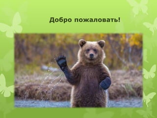 Путеводитель