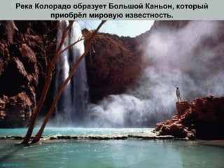 Река Колорадо образует Большой Каньон, который
приобрёл мировую известность.
www.m mc.ru
 