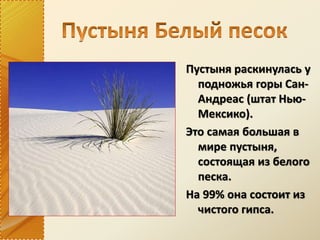 Пустыня раскинулась у
подножья горы Сан-
Андреас (штат Нью-
Мексико).
Это самая большая в
мире пустыня,
состоящая из белого
песка.
На 99% она состоит из
чистого гипса.
 
