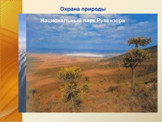 Национальный парк «Ворота Арктики»Гипсовые дюны в национальном парке
«Белые пески»
Национальный парк Рувензори
Охрана природы
 