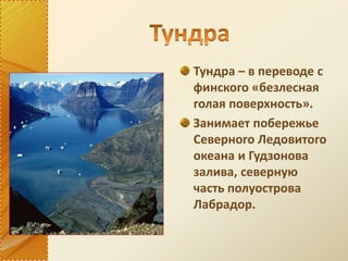 Тундра – в переводе с
финского «безлесная
голая поверхность».
Занимает побережье
Северного Ледовитого
океана и Гудзонова
залива, северную
часть полуострова
Лабрадор.
 