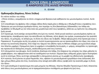 ΠΟΙΟΣ ΕΙΝΑΙ Ο ΑΝΘΡΩΠΟΣ
Ο ΑΝΘΡΩΠΟΣ ΣΤΙΣ ΑΛΛΕΣ ΘΡΗΣΚΕΙΕΣ
Ορθοπραξία (Κοράνιο, Πέντε Στύλοι)
ΙΙ . ΙΣΛΑΜ
Οι «πέντε στύλοι» του Ισλάμ
«Πέντε στύλοι», ονομάζονται τα πέντε υποχρεωτικά θρησκευτικά καθήκοντα του μουσουλμάνου πιστού. Αυτά
είναι:
1) Η επανάληψη της φράσης «δεν υπάρχει άλλος Θεός παρά μόνο ο Αλλάχ και ο Μωάμεθ είναι ο προφήτης τον».
Πρόκειται για μια σύντομη ομολογία πίστης, που περιέχει τις δύο βασικότερες διδασκαλίες του Ισλάμ και
προβάλλει το Μωάμεθ ως τον τελευταίο και μεγαλύτερο από τους προφήτες, αλλά και ως πρότυπο της ισλαμικής
ζωής γενικά.
2) Η προσευχή. Αυτή κατέχει κεντρική θέση στη ζωή του πιστού. Κατά γενικό κανόνα ο μουσουλμάνος πρέπει να
προσεύχεται, στρεφόμενος προς την κατεύθυνση της Μέκκας, πέντε φορές την ημέρα, συγκεκριμένα την ανατολή
του ήλιου, το μεσημέρι, το απόγευμα, τη δύση του ήλιου και το βράδυ. Μέρα αφιερωμένη στην προσευχή είναι η
Παρασκευή. Το μεσημέρι αυτής της μέρας οι πιστοί συγκεντρώνονται για να προσευχηθούν στο τζαμί, που είναι το
κέντρο της κοινοτικής λατρείας. Στον τοίχο του τζαμιού που βλέπει προς τη Μέκκα υπάρχει μια ημικυκλική κόγχη
που λέγεται μιχράμπ. Στραμμένος προς το μιχράμπ ο επικεφαλής λειτουργός, ο ιμάμης, απαγγέλλει τις προσευχές
και προσκυνά σε δεδομένες στιγμές, ακολουθούμενος από τους πιστούς.
3) Η ελεημοσύνη των φτωχών. Αυτή τονίζεται ιδιαίτερα στο Ισλάμ. Στη διάρκεια της ιστορίας του πήρε μάλιστα τη
μορφή φόρου, που αφαιρούνταν από τα εισοδήματα των πιστών. Σήμερα λίγες ισλαμικές χώρες έχουν διατηρήσει
αυτό το σύστημα. Όπου αυτό έχει καταργηθεί η ελεημοσύνη γίνεται με τη μορφή της εθελοντικής προσφοράς.
4) Η νηστεία. Αυτή γίνεται το μήνα Ραμαντάν, που, εφόσον το μουσουλμανικό ημερολόγιο είναι σεληνιακό, δεν
έχει μόνιμη θέση μέσα στο έτος. Συνίσταται στην αποχή από κάθε είδους τροφή από την ανατολή μέχρι τη δύση
του ήλιου.
5) Η ιερή αποδημία ή προσκύνημα στα ιερά μνημεία της Μέκκας. Λέγεται Μεγάλο Προσκύνημα ή Χατζ. Απαιτείται
από όλους τους μουσουλμάνους να το πραγματοποιήσουν τουλάχιστο μια φορά στη ζωή τους.
 