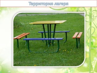 Оздоровительный лагерь Чайка