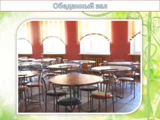 Оздоровительный лагерь Чайка