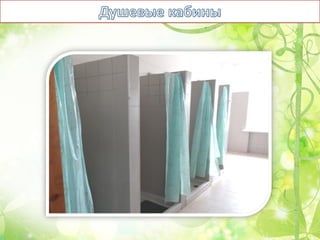 Оздоровительный лагерь Чайка